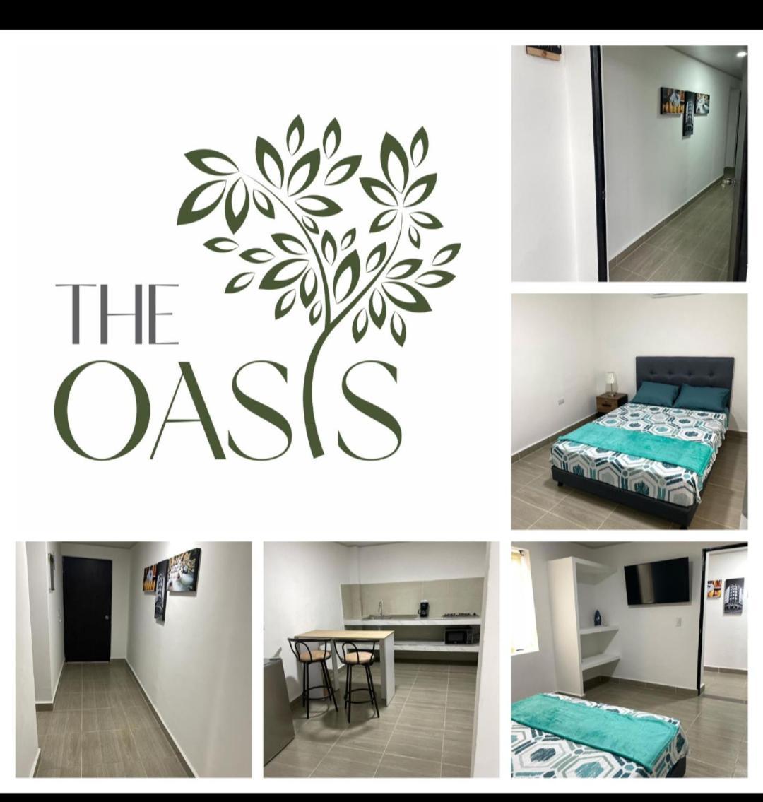 Ferienwohnung The Oasis Buro Cali Exterior foto